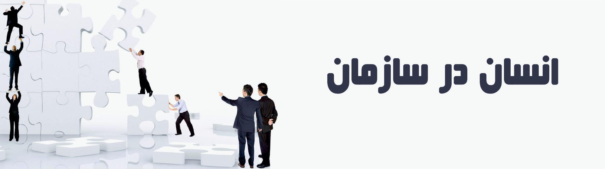 انسان در سازمان